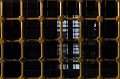 18 b_DSC_0215